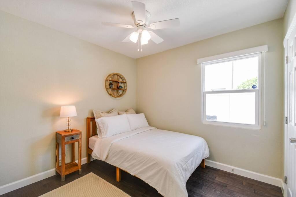 Luxury Home In The Heart Of South Tampa & Pool! Exterior foto